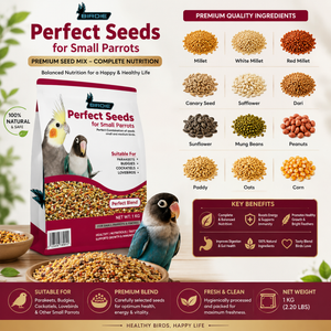 Premium Seed Mix for Small Parrots (1 KG)