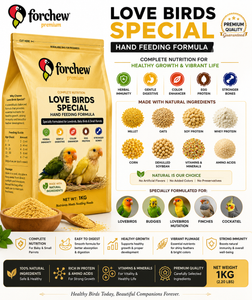 Forchew Premium Love Birds Special Hand Feeding Formula