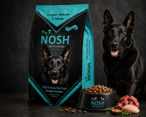 Pet NOSH High Energy Dog Food 3KG – Complete & Balanced Nutrition for All Breeds
